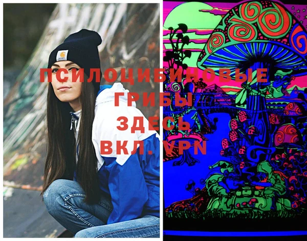 хмурый Шадринск