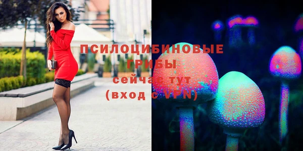 бутират Шарыпово